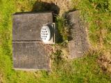 image of grave number 647953
